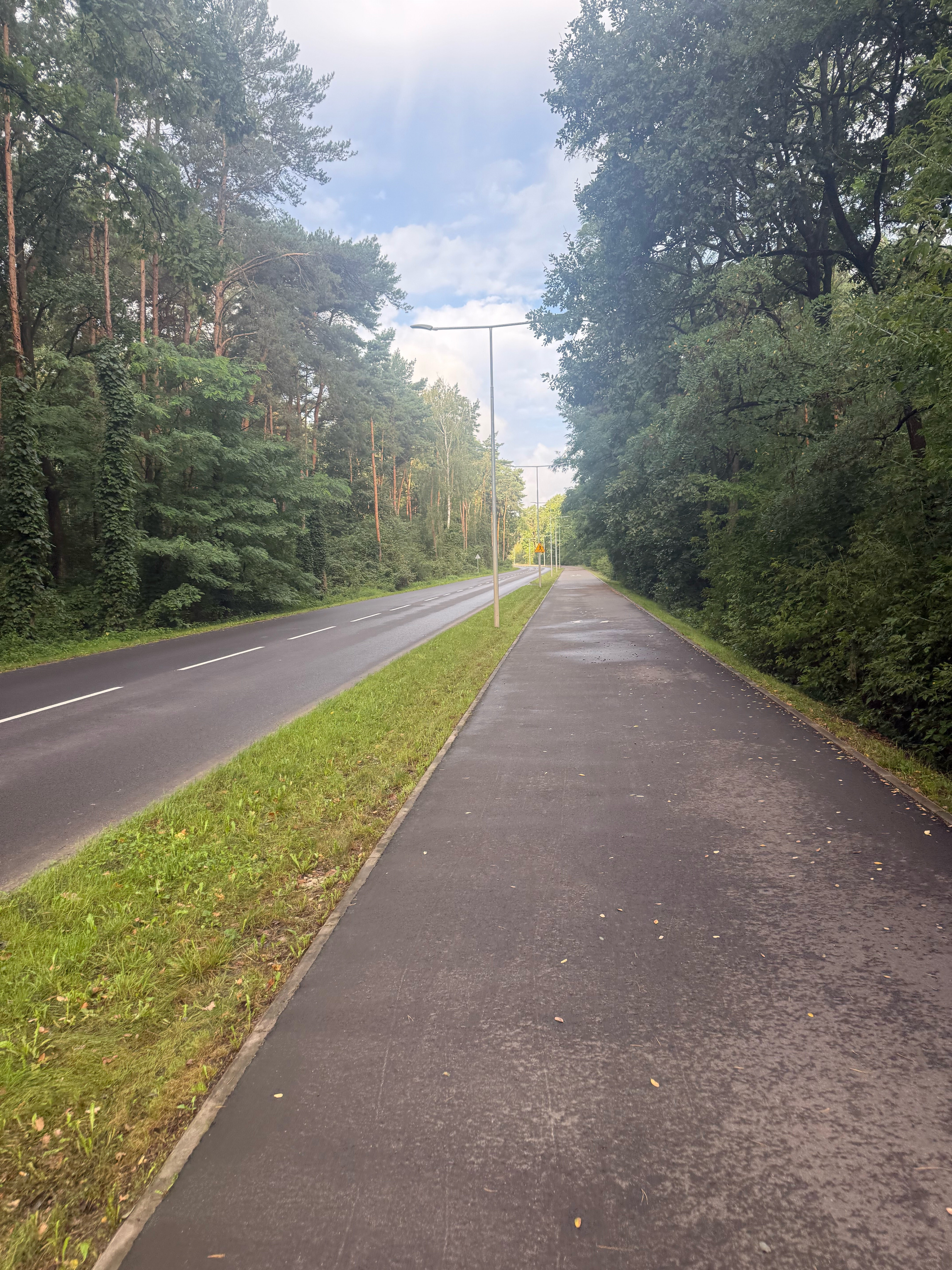 Wiśniowa, Trzek do Wiśniowa, Trzek