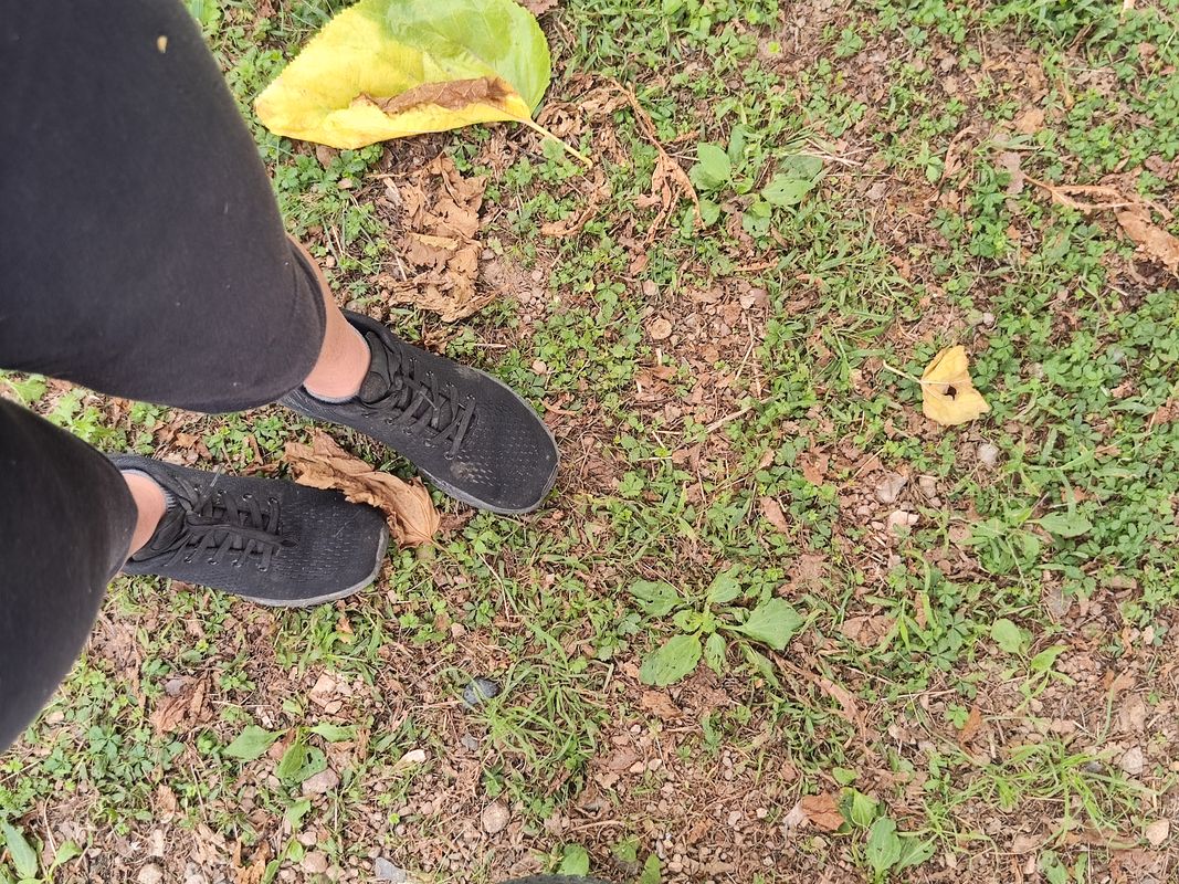 De Carrer de Sant Antoni a Lugar Bonmati