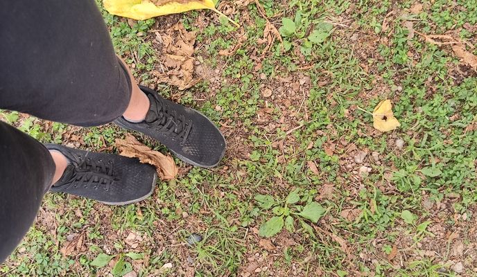 Foto 2 der Bikemap-Route "De Carrer de Sant Antoni a Lugar Bonmati"