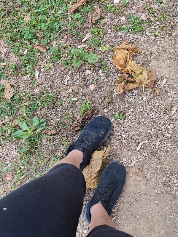 De Carrer de Sant Antoni a Lugar Bonmati