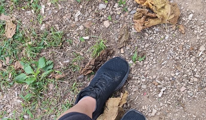 Foto 1 der Bikemap-Route "De Carrer de Sant Antoni a Lugar Bonmati"