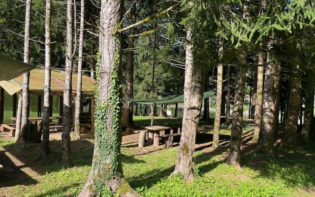 Photo 1 of the Bikemap route "Lago Bernigolo"