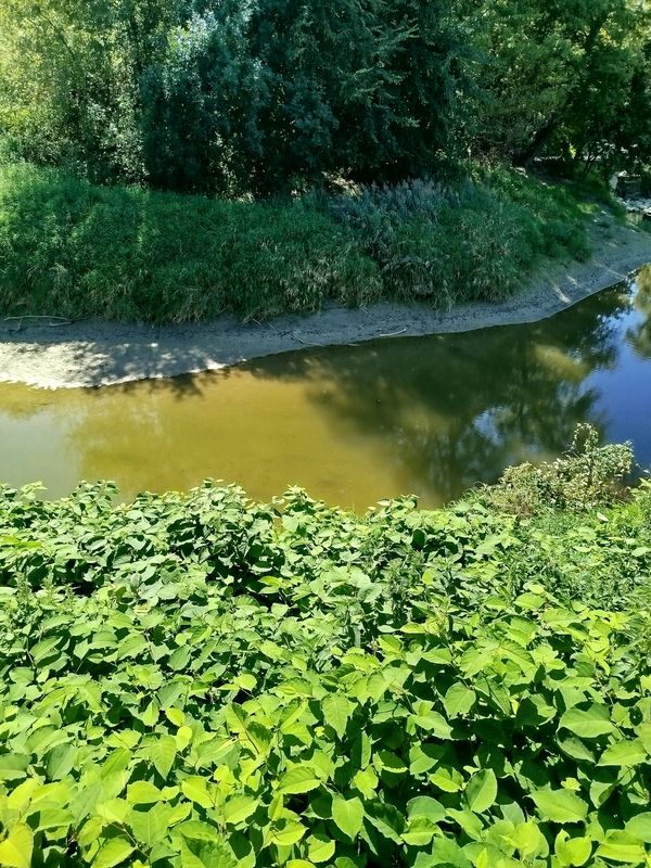 Drobného do Drobného