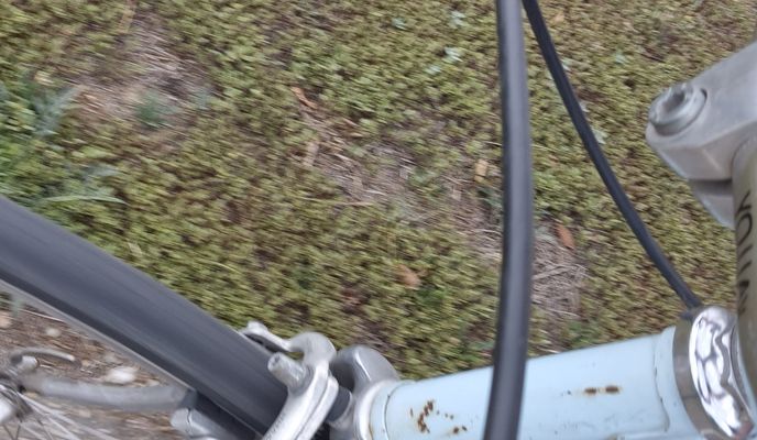 Photo 1 of the Bikemap route "Route from Strada Ștefan Octavian Iosif"