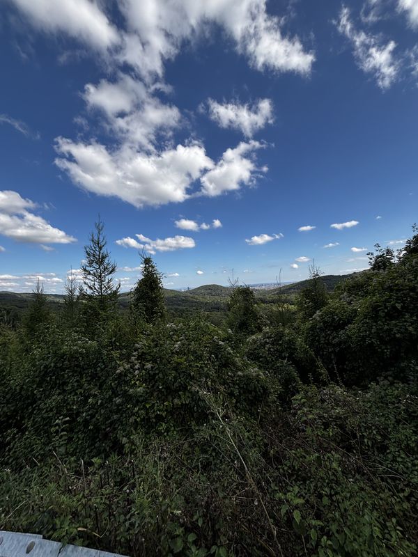 Sonnberg, St. Andrä-Wördern nach Linzer Straße, Wien