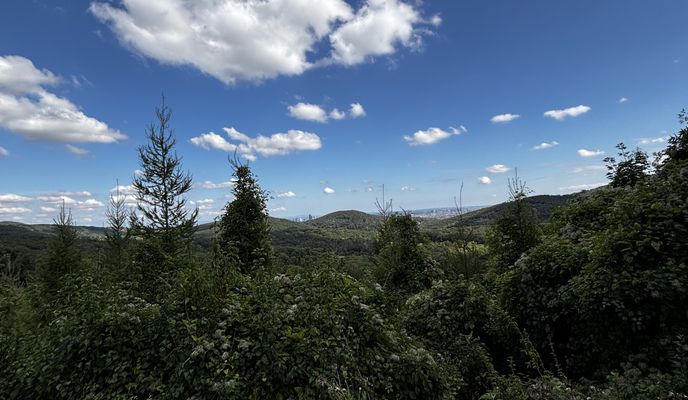Foto 1 der Bikemap-Route "Sonnberg, St. Andrä-Wördern nach Linzer Straße, Wien"