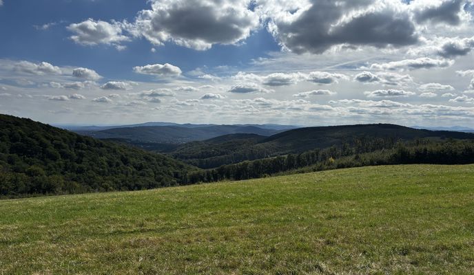 Foto 2 der Bikemap-Route "Sonnberg, St. Andrä-Wördern nach Linzer Straße, Wien"