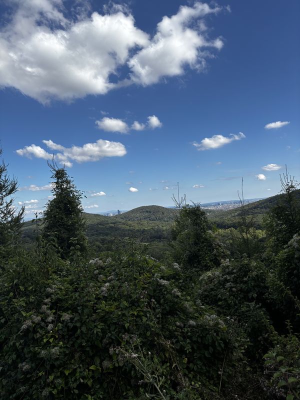 Sonnberg, St. Andrä-Wördern nach Linzer Straße, Wien