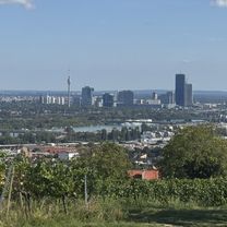 Foto 8 der Bikemap-Route "Pokornygasse, Wien nach Pokornygasse, Wien"