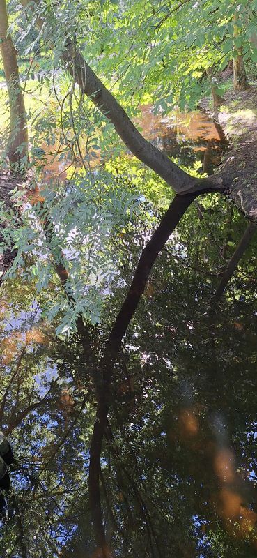 Rudow, Wassmannsdorf Mahlow und zurück