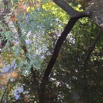 Rudow, Wassmannsdorf Mahlow und zurück