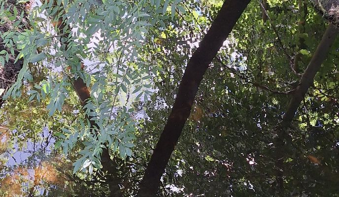 Foto 1 der Bikemap-Route "Rudow, Wassmannsdorf Mahlow und zurück"