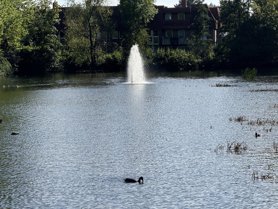 Sternplatz, Uelzen nach Medingstraße, Uelzen