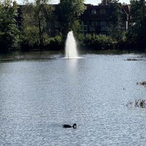 Sternplatz, Uelzen nach Medingstraße, Uelzen