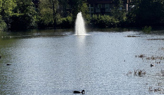 Zdjęcie 1 trasy Bikemap „Sternplatz, Uelzen nach Medingstraße, Uelzen”