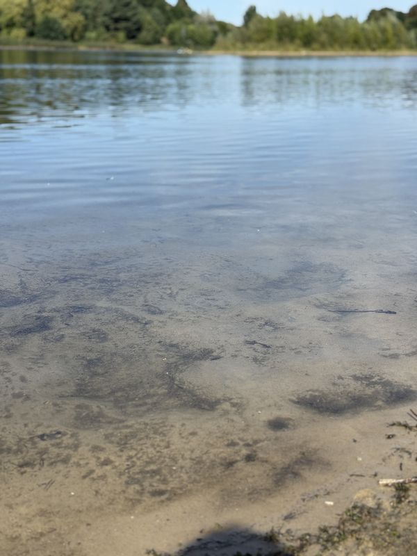Sternplatz, Uelzen nach Medingstraße, Uelzen