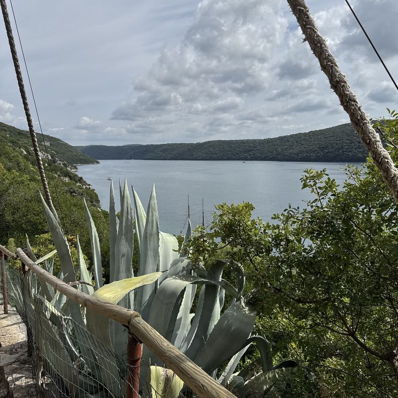 Saline, Vrsar nach Vrsar