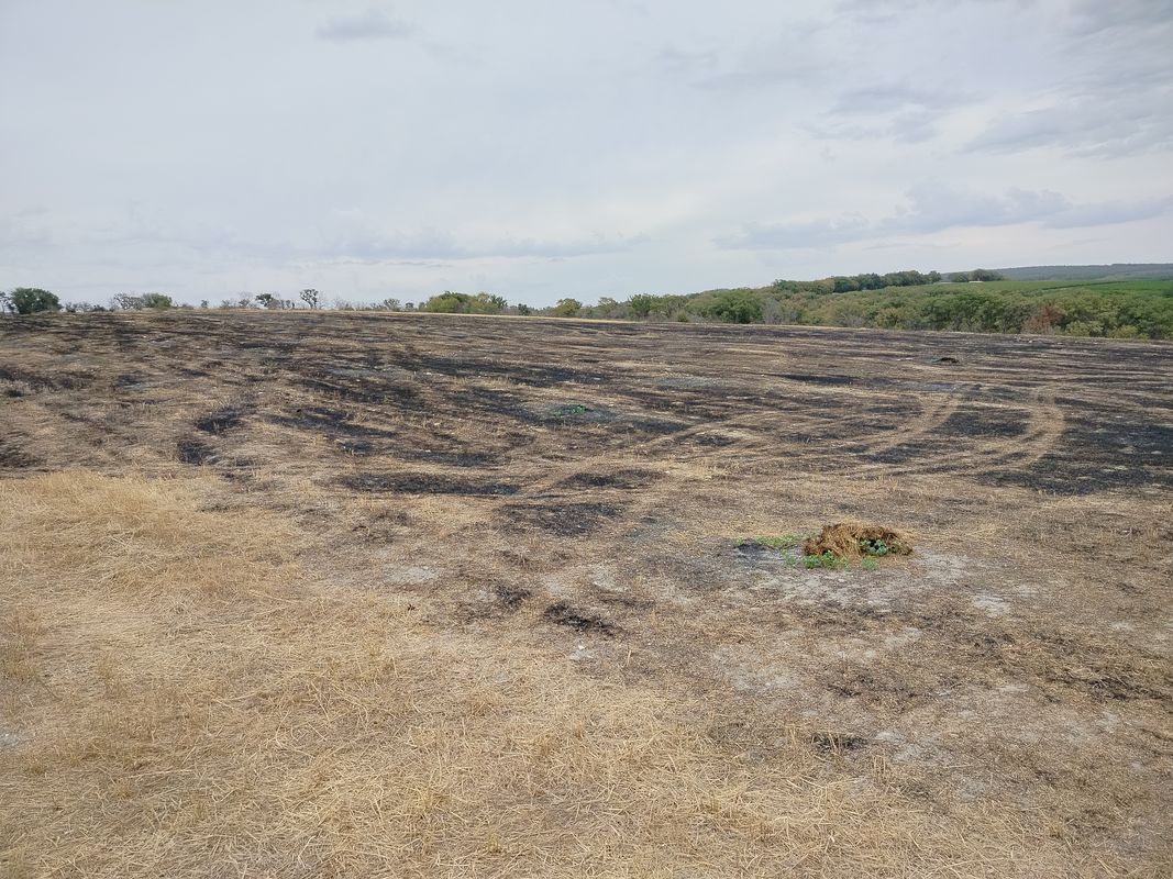 От переулок Жуковского до переулок Жуковского