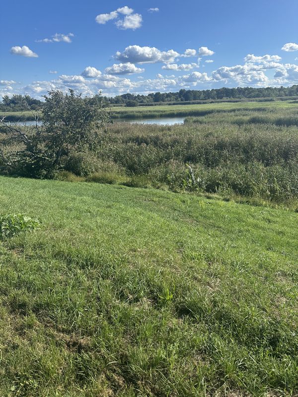 pl Zamkowy, Brody do Orła Białego, Kostrzyn nad Odrą