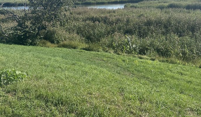 Photo 1 de l’itinéraire Bikemap « pl Zamkowy, Brody do Orła Białego, Kostrzyn nad Odrą »