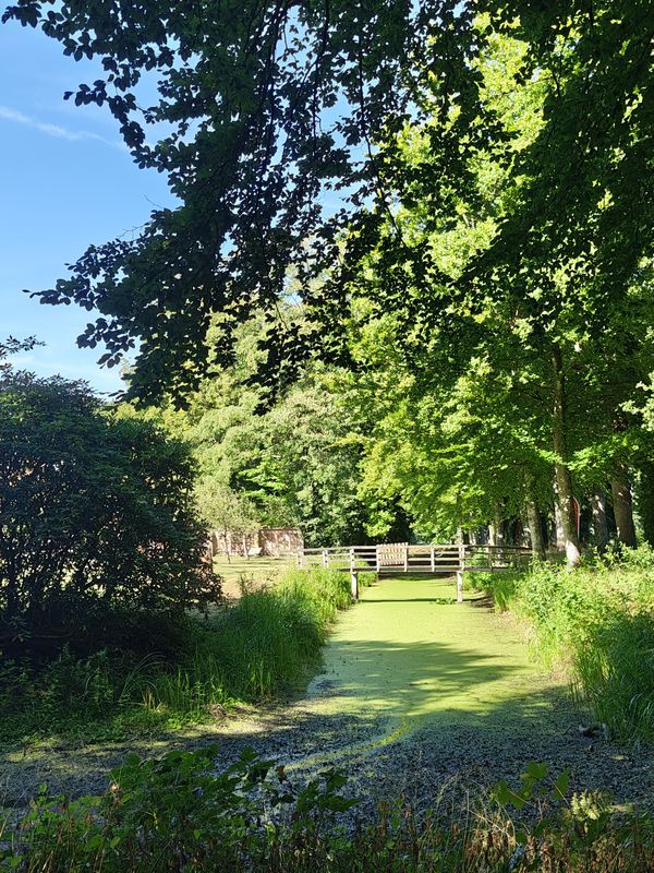 Terpstrastraat 15, Doezum to Terpstrastraat 13, Doezum
