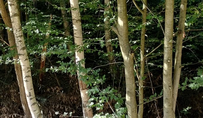 Foto 1 der Bikemap-Route "Jána Pavla II. do Levočská"