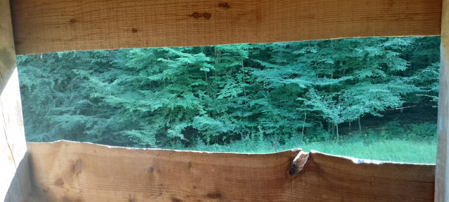 Jána Pavla II. do Levočská