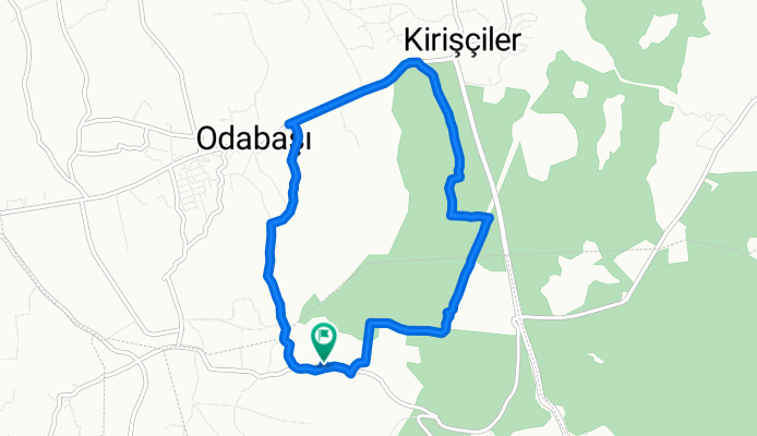 Orman