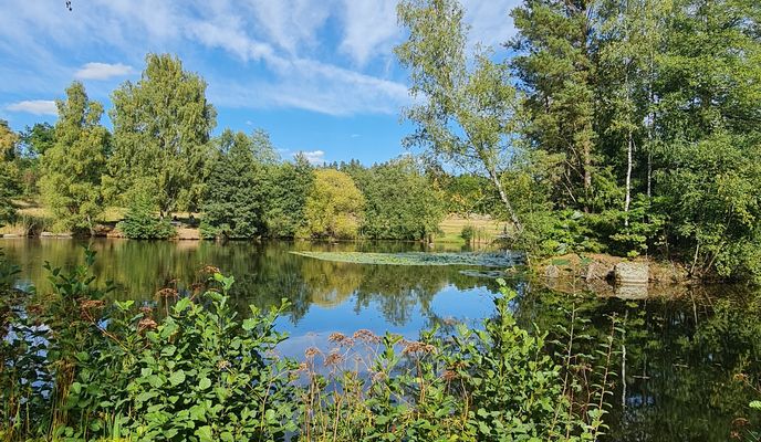 Photo 1 de l’itinéraire Bikemap « Blockheideweg do Weitraer Straße »