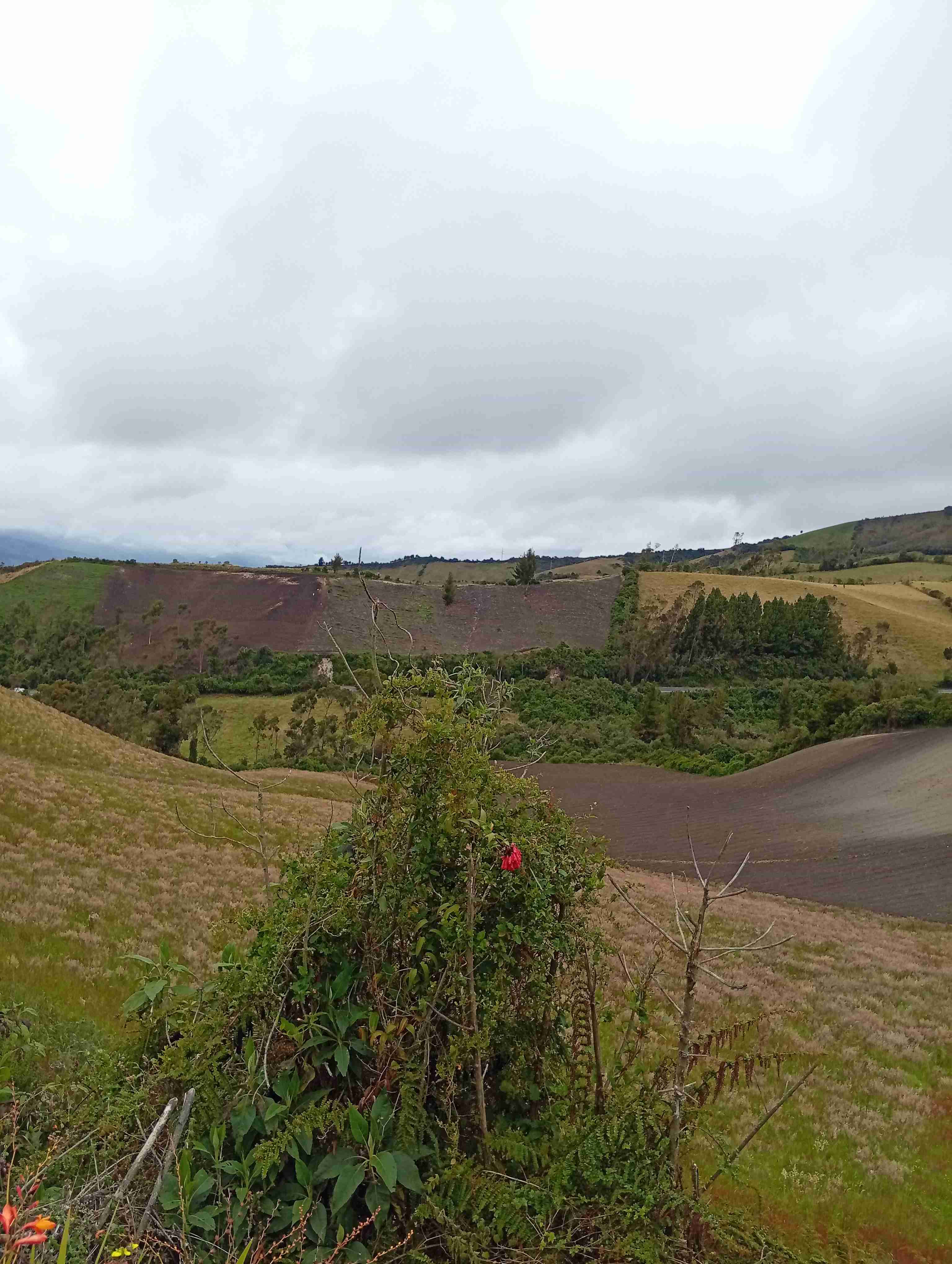 Ruta relajada