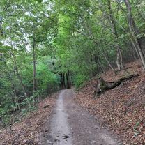 Virágos - nyereg Csengèmmel