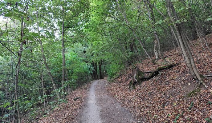 Foto 1 del percorso Bikemap "Virágos - nyereg Csengèmmel" Foto 1 del percorso Bikemap "Virágos - nyereg Csengèmmel"