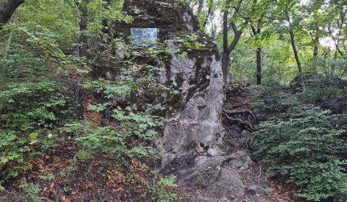 Foto 2 del percorso Bikemap "Virágos - nyereg Csengèmmel" Foto 2 del percorso Bikemap "Virágos - nyereg Csengèmmel"