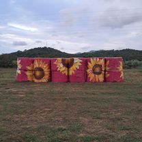 Carrer Sant Feliu to Passeig Ridaura