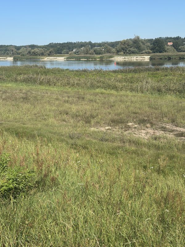 Orła Białego, Kostrzyn nad Odrą do Oderstraße, Bad Freienwalde