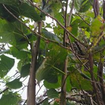 Um die Weiher nach Um die Weiher