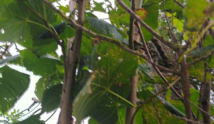 Foto 1 de la ruta de Bikemap "Um die Weiher nach Um die Weiher"