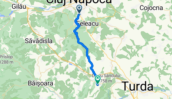 From Cluj-Napoca to Petreștii de Jos