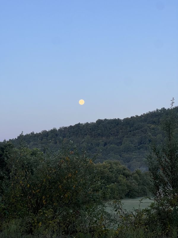 Grant Estate Dr, West Simsbury to Grant Estate Dr, West Simsbury
