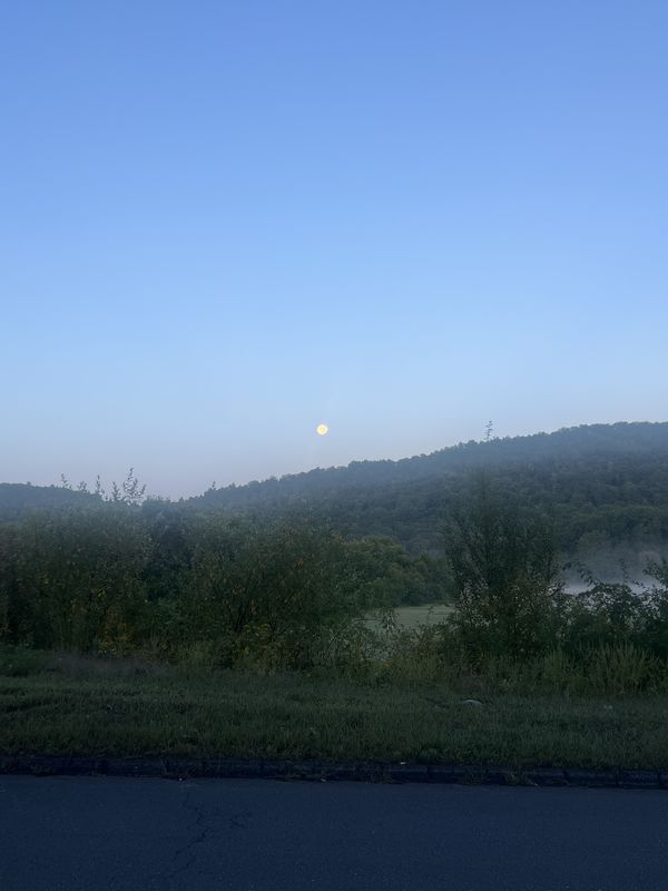 Grant Estate Dr, West Simsbury to Grant Estate Dr, West Simsbury