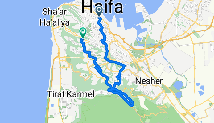 אוניברסיטה