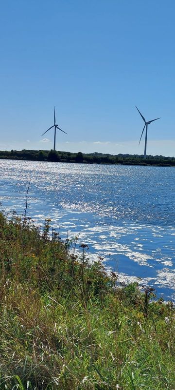 Albuen Strand     Nakskof  schöne Natur