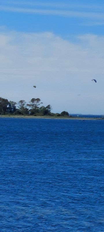 Albuen Strand     Nakskof  schöne Natur