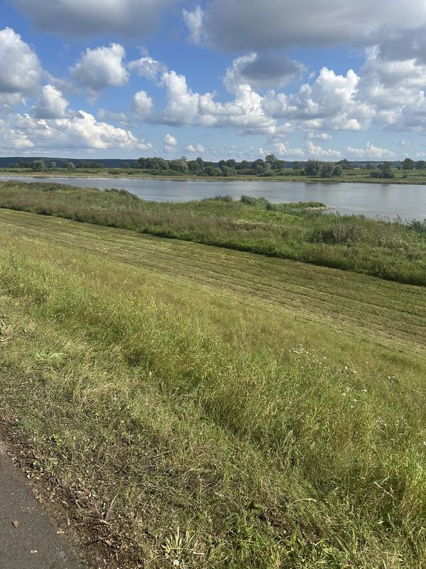 Oderstraße, Bad Freienwalde do Pod Zodiakiem, Kołbaskowo