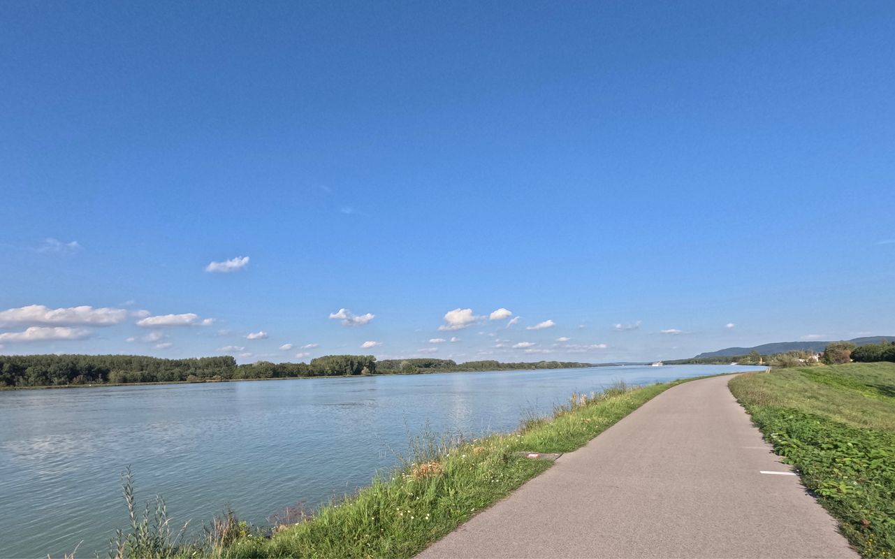 Hauptplatz Tulln – Serpentinen von Königstetten Runde von Mauerbach. 🚴‍♂️🚴