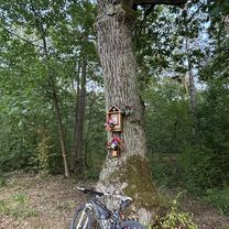 Króla J Sobieskiego, Puszcza Mariańska do Króla J Sobieskiego, Puszcza Mariańska