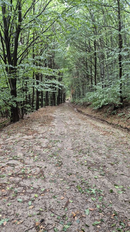 Pálháza 30km körút