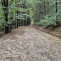 Pálháza 30km körút
