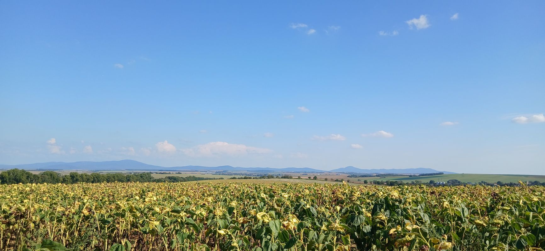 Topoľčianska do Nábrežie Justusa Jána Torkosa