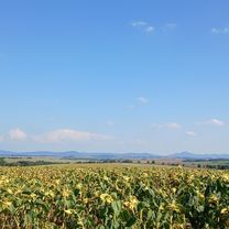 Topoľčianska do Nábrežie Justusa Jána Torkosa